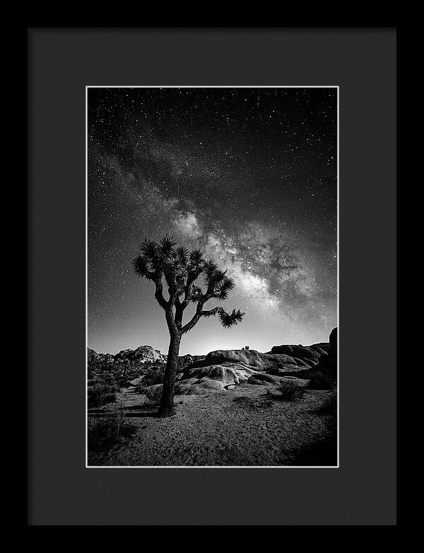 Joshua Tree Under Starry Sky