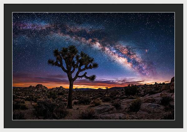 Joshua Tree Under The Milky Way