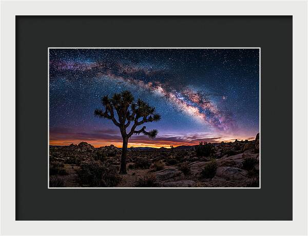 Joshua Tree Under The Milky Way