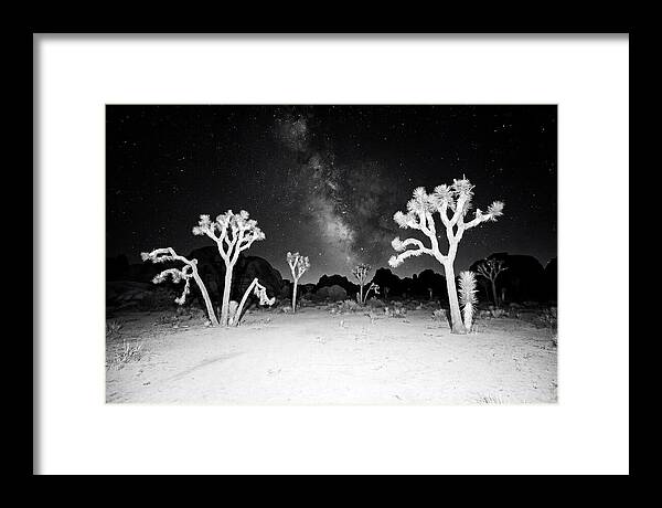 Joshua Trees Under The Milky Way