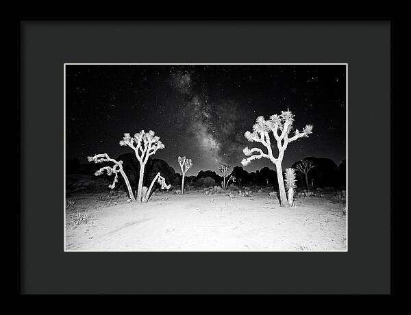 Joshua Trees Under The Milky Way