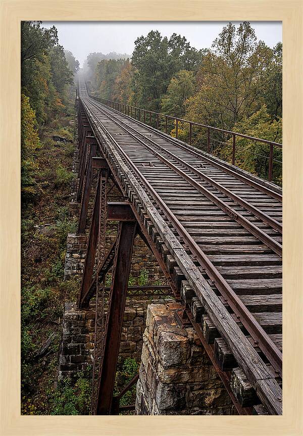 Journey Up Lookout Mountain