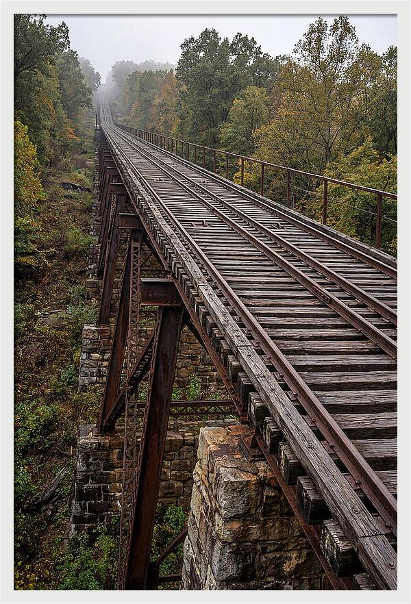 Journey Up Lookout Mountain