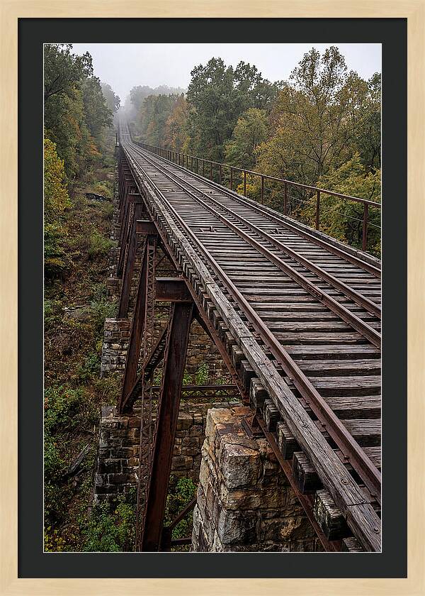 Journey Up Lookout Mountain