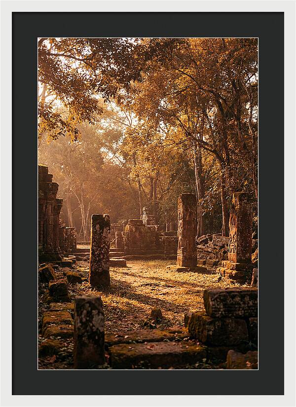 Jungle Clearing With Ancient Carved Stones