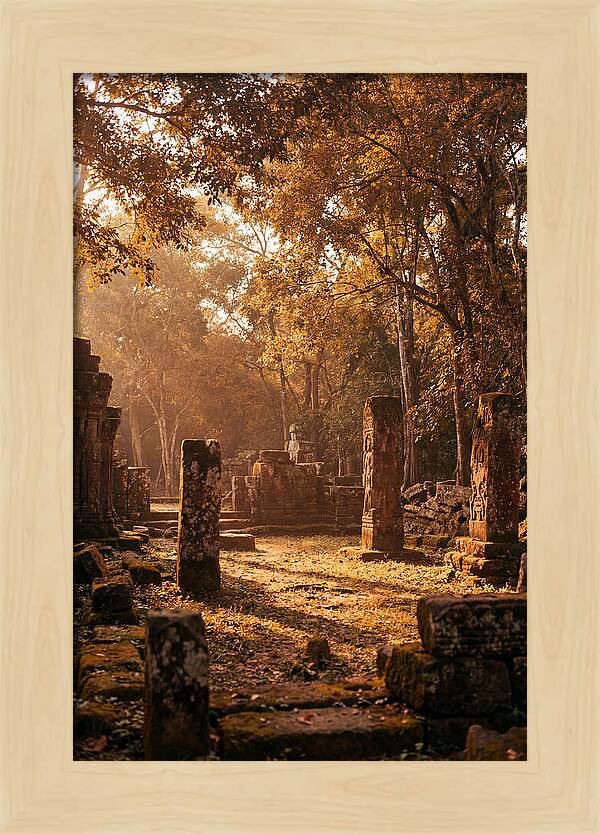 Jungle Clearing With Ancient Carved Stones
