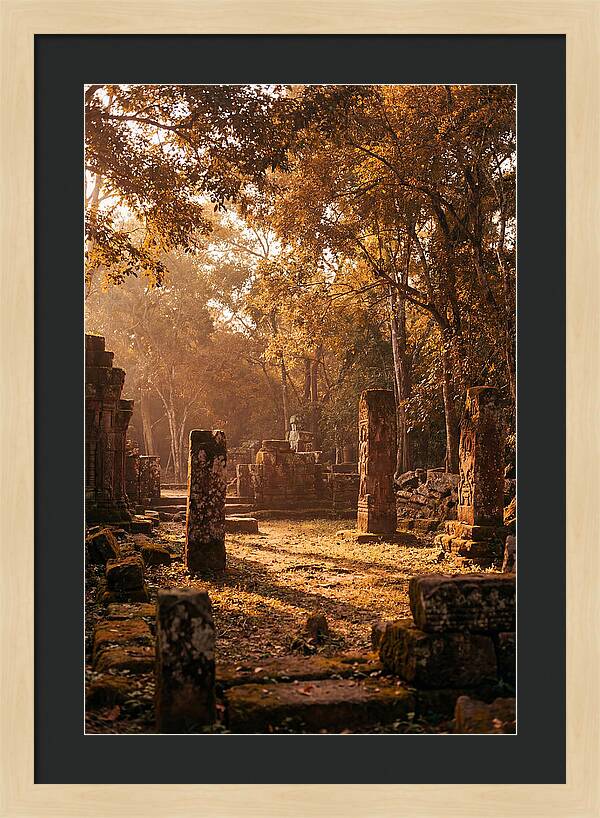 Jungle Clearing With Ancient Carved Stones