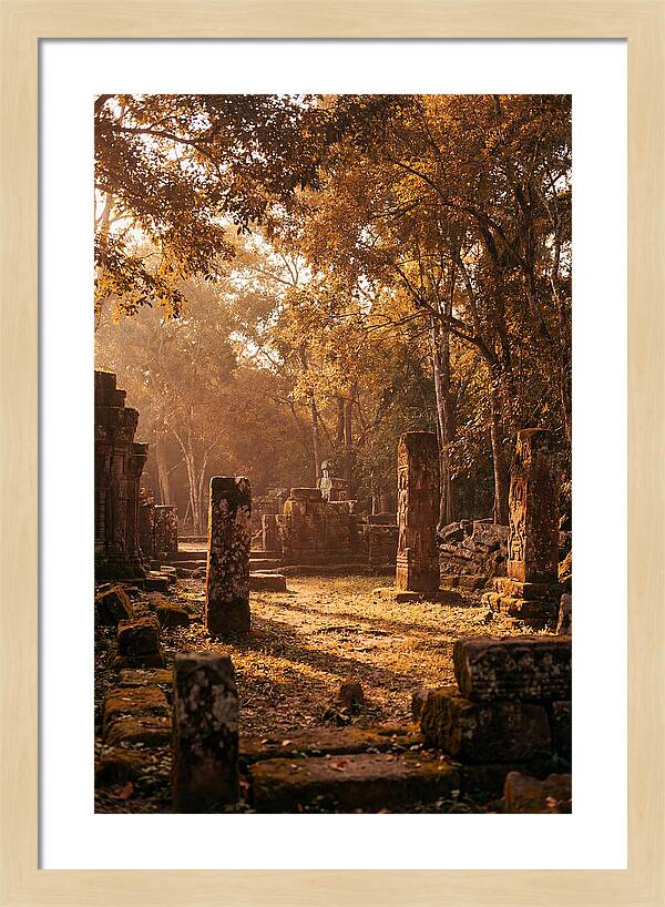 Jungle Clearing With Ancient Carved Stones
