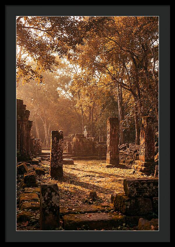 Jungle Clearing With Ancient Carved Stones