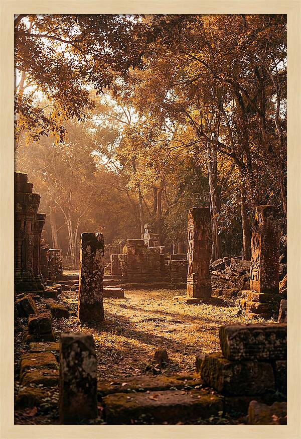 Jungle Clearing With Ancient Carved Stones