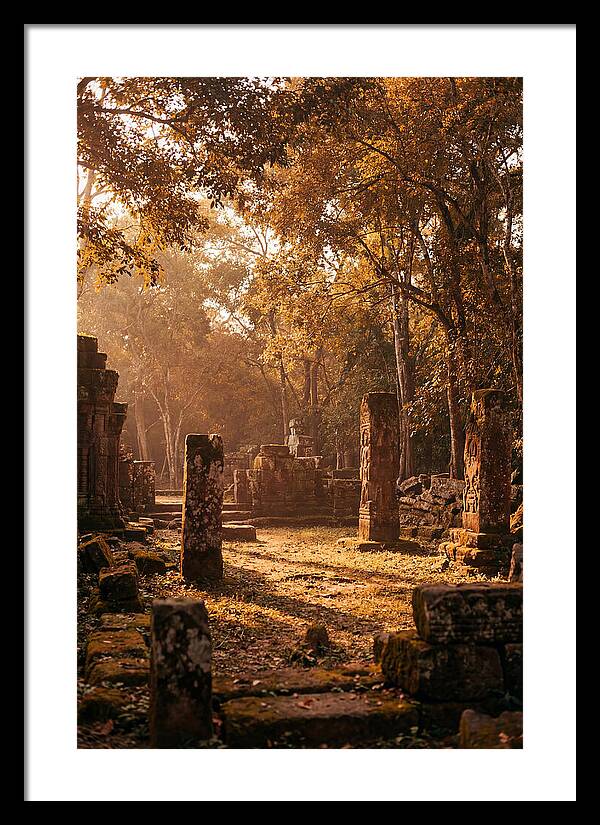 Jungle Clearing With Ancient Carved Stones