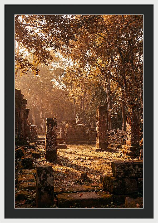 Jungle Clearing With Ancient Carved Stones