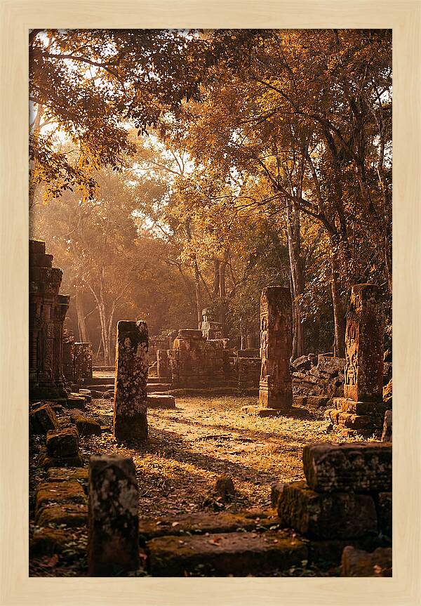 Jungle Clearing With Ancient Carved Stones