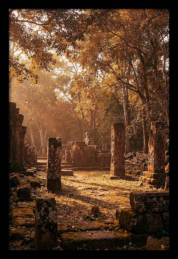 Jungle Clearing With Ancient Carved Stones