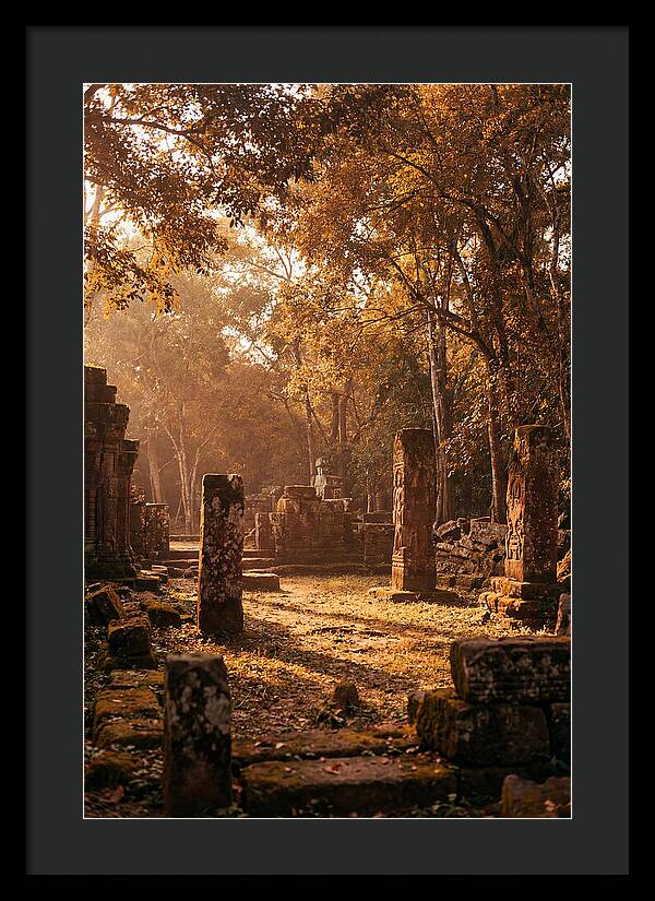 Jungle Clearing With Ancient Carved Stones