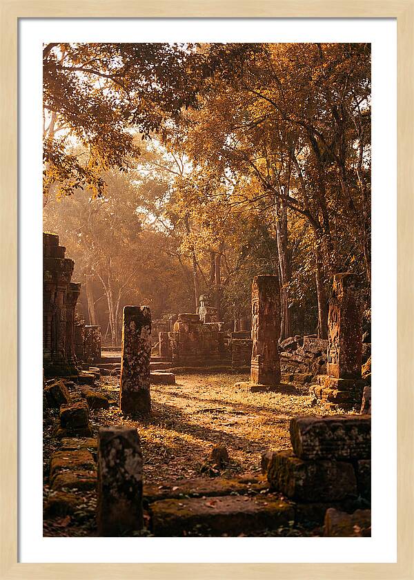 Jungle Clearing With Ancient Carved Stones