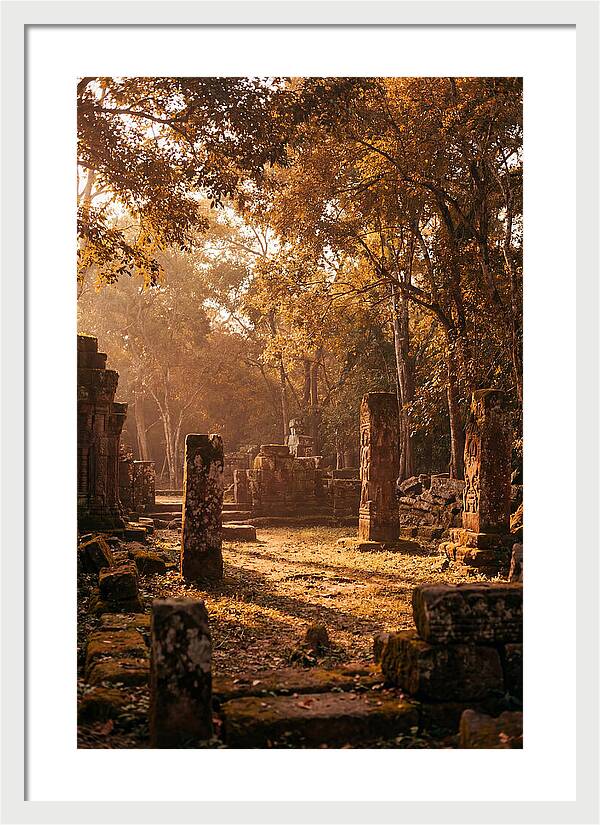 Jungle Clearing With Ancient Carved Stones