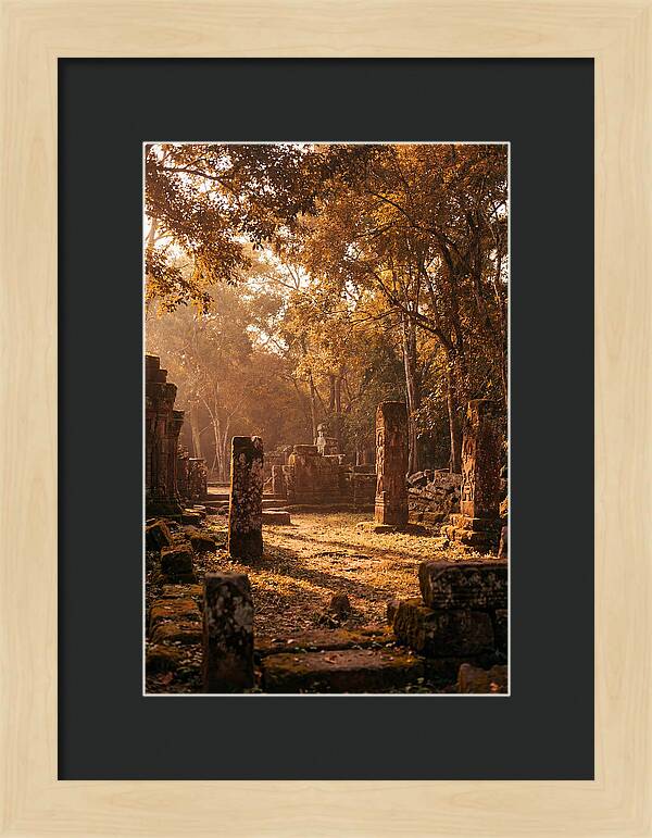 Jungle Clearing With Ancient Carved Stones