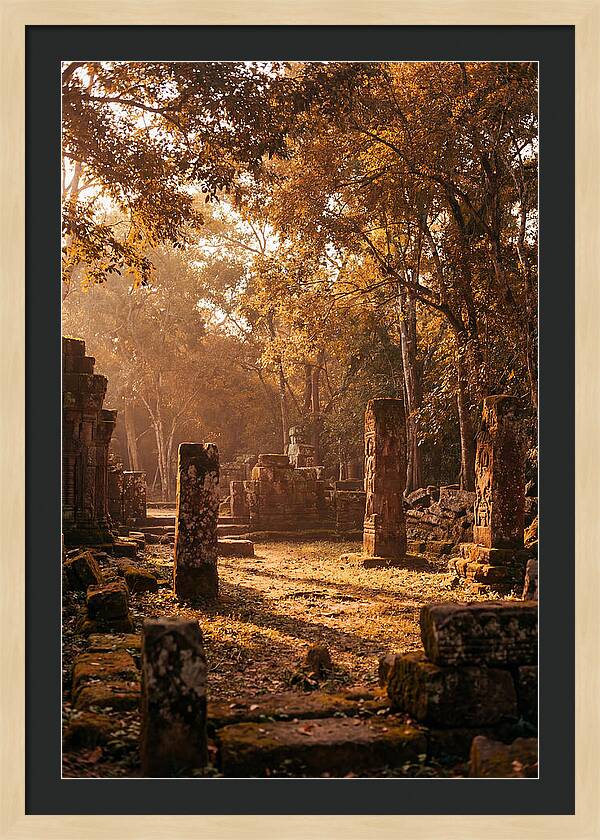 Jungle Clearing With Ancient Carved Stones