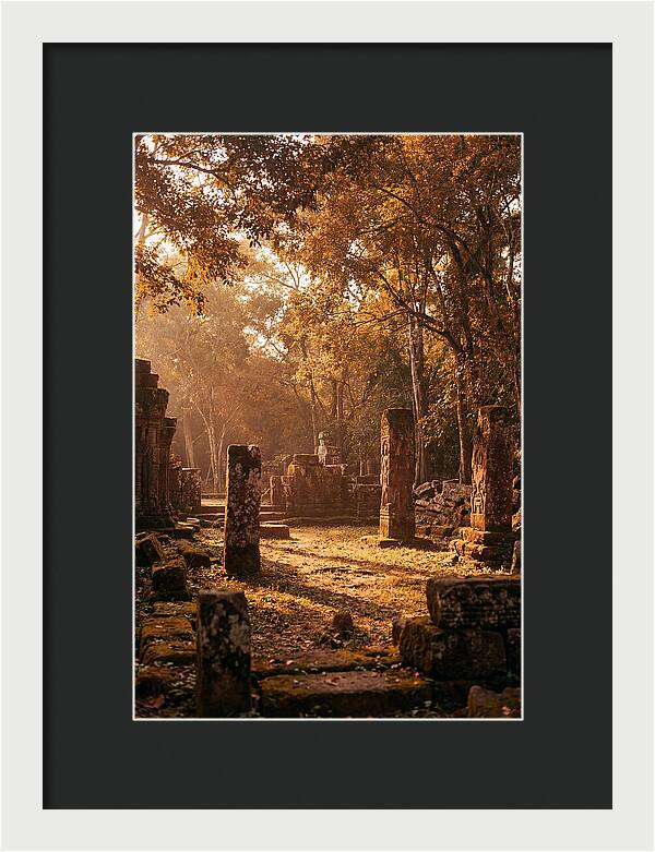 Jungle Clearing With Ancient Carved Stones