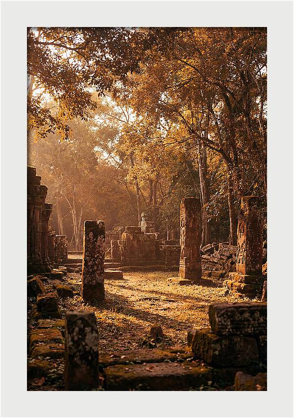 Jungle Clearing With Ancient Carved Stones