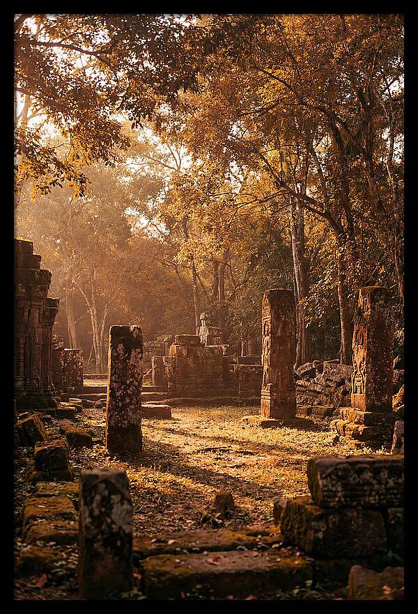 Jungle Clearing With Ancient Carved Stones