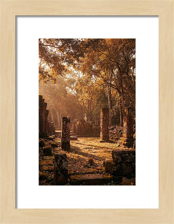 Jungle Clearing With Ancient Carved Stones