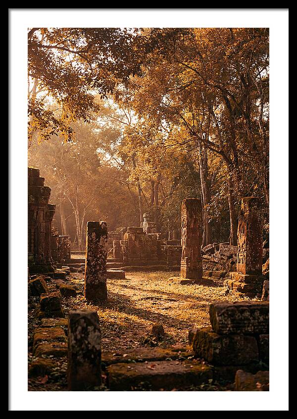 Jungle Clearing With Ancient Carved Stones