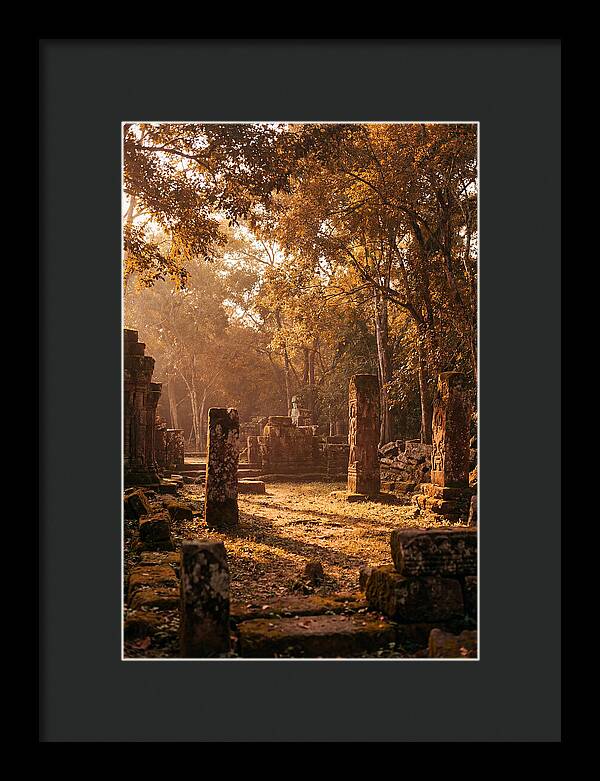 Jungle Clearing With Ancient Carved Stones