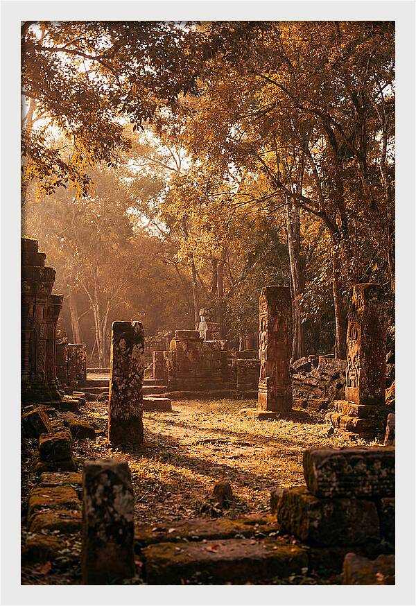 Jungle Clearing With Ancient Carved Stones