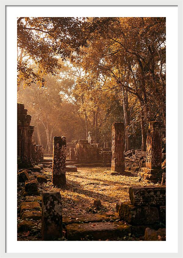 Jungle Clearing With Ancient Carved Stones