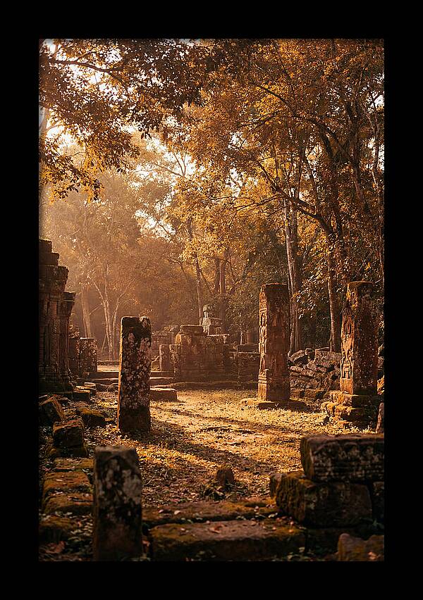 Jungle Clearing With Ancient Carved Stones