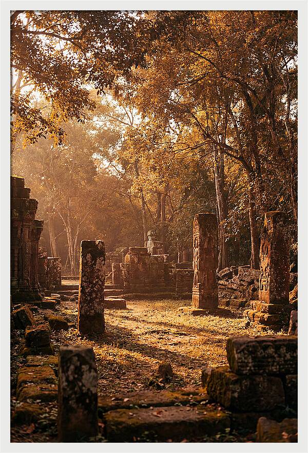 Jungle Clearing With Ancient Carved Stones