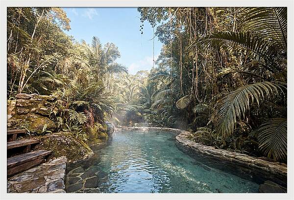 Jungle Oasis Hot Spring Retreat