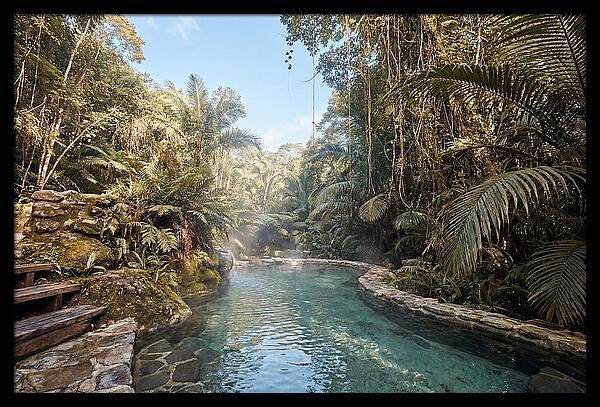Jungle Oasis Hot Spring Retreat