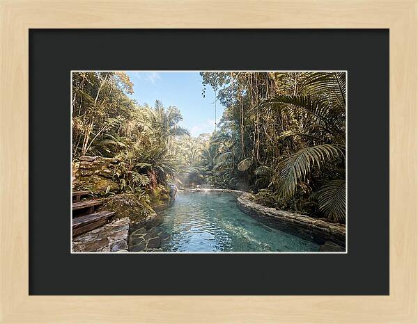 Jungle Oasis Hot Spring Retreat