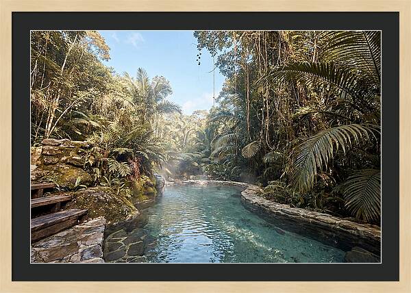 Jungle Oasis Hot Spring Retreat