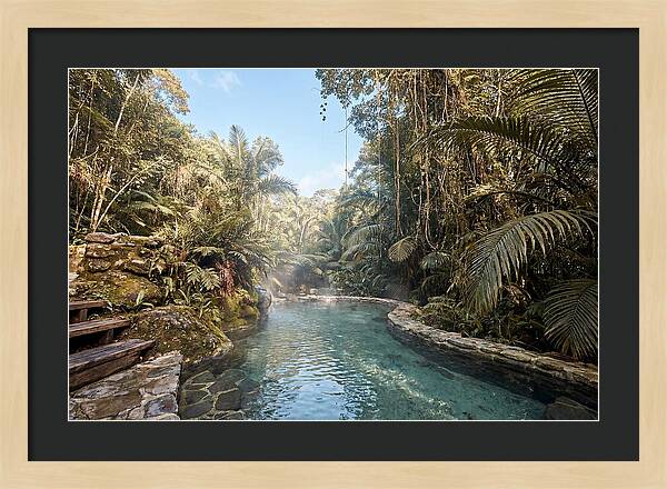 Jungle Oasis Hot Spring Retreat