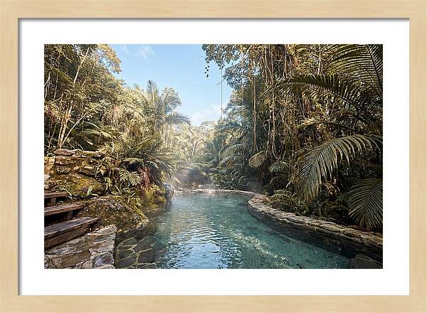 Jungle Oasis Hot Spring Retreat