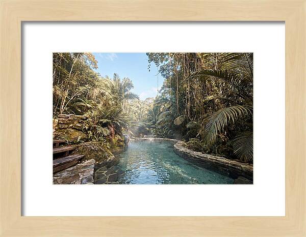 Jungle Oasis Hot Spring Retreat