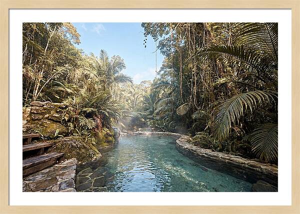 Jungle Oasis Hot Spring Retreat