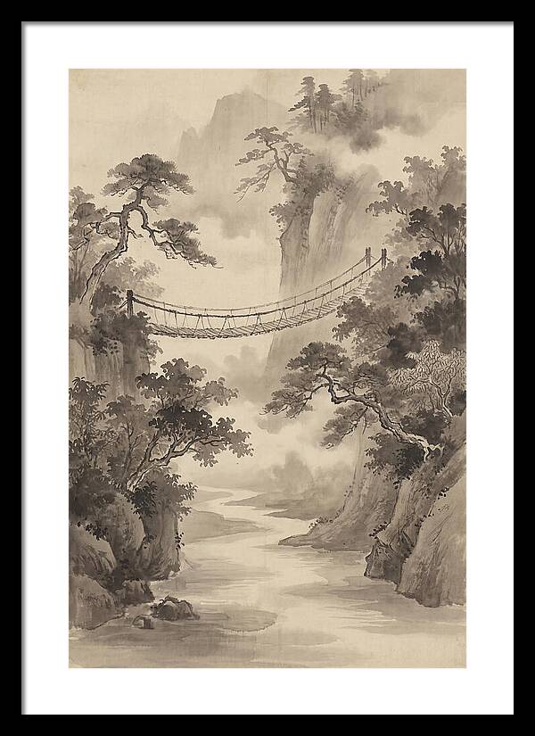 Jungle Rope Bridge Over River