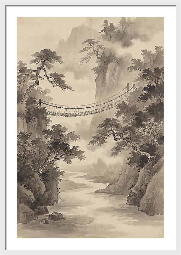 Jungle Rope Bridge Over River