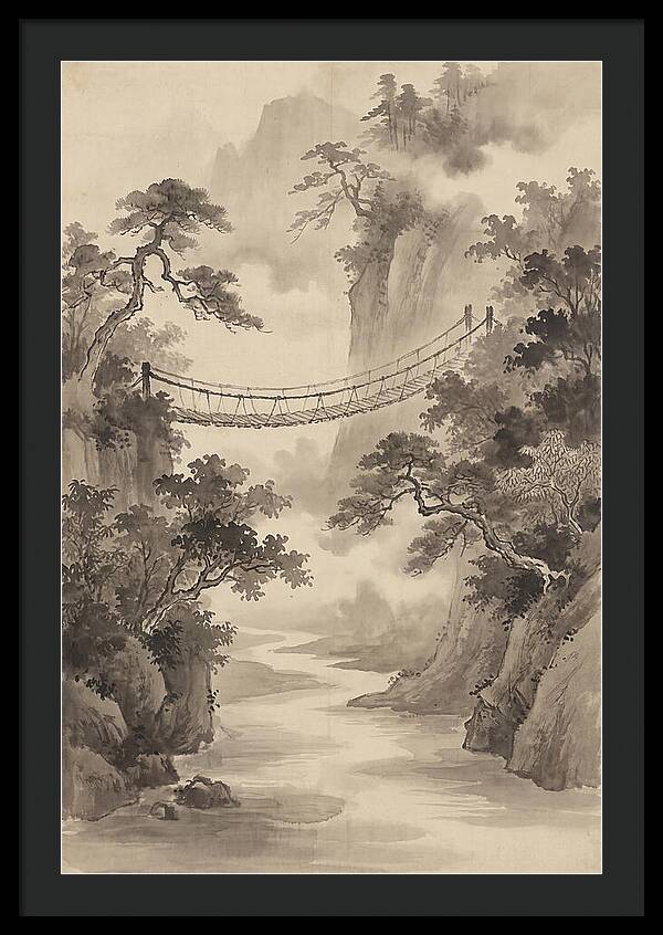 Jungle Rope Bridge Over River