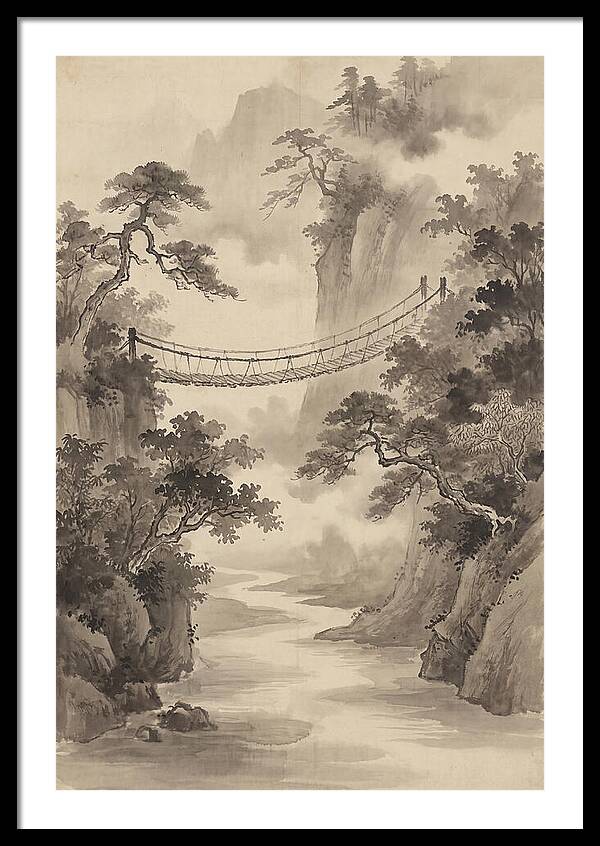 Jungle Rope Bridge Over River