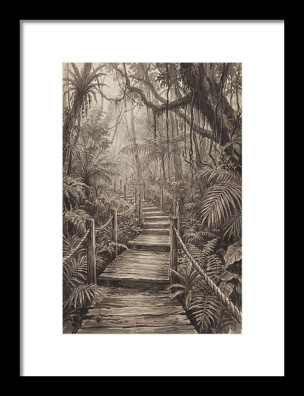 Jungle Trail Serenity