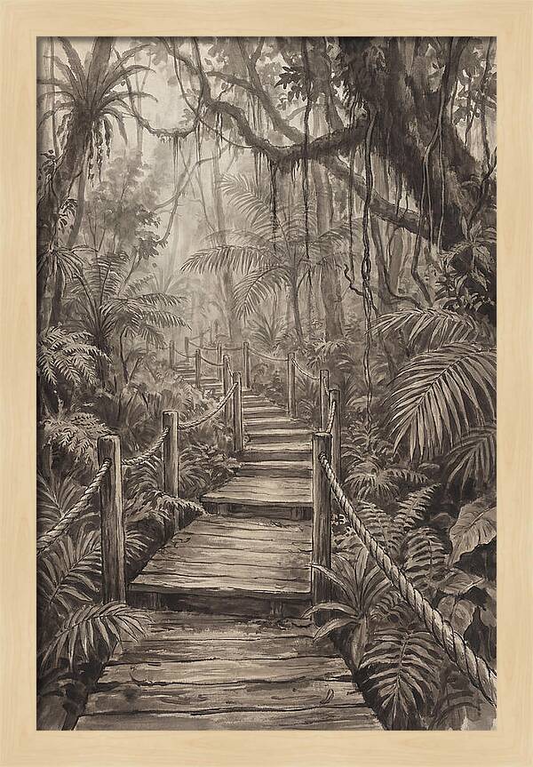 Jungle Trail Serenity