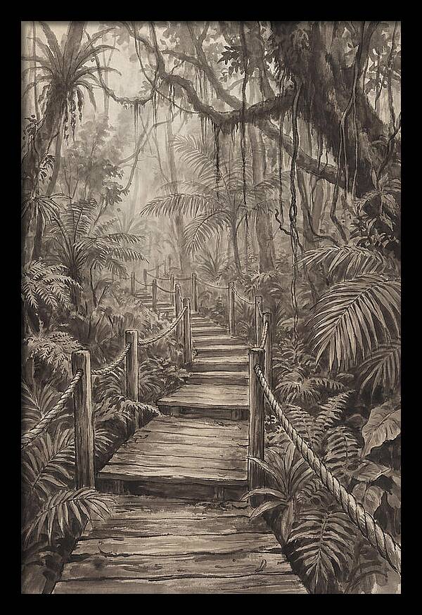 Jungle Trail Serenity