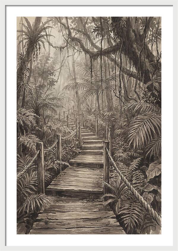 Jungle Trail Serenity