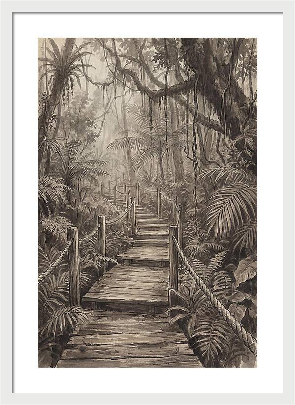 Jungle Trail Serenity